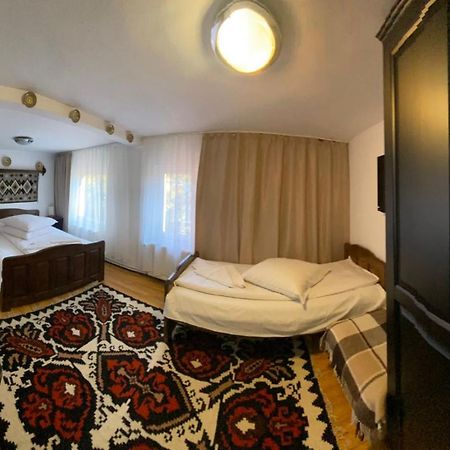 Pensiunea Casa Bianca - Bucovina Vama  Dış mekan fotoğraf