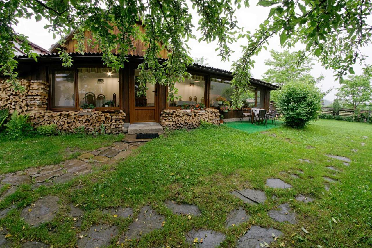 Pensiunea Casa Bianca - Bucovina Vama  Dış mekan fotoğraf