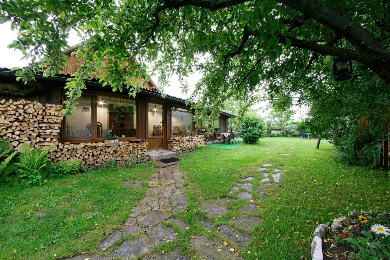 Pensiunea Casa Bianca - Bucovina Vama  Dış mekan fotoğraf