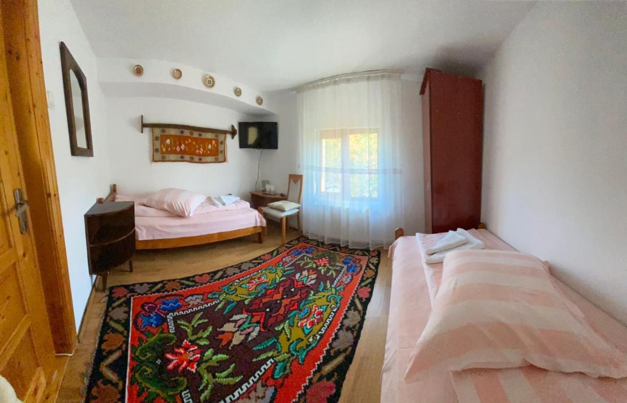 Pensiunea Casa Bianca - Bucovina Vama  Dış mekan fotoğraf