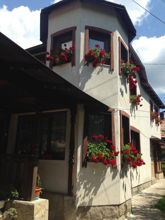 Pensiunea Casa Bianca - Bucovina Vama  Dış mekan fotoğraf
