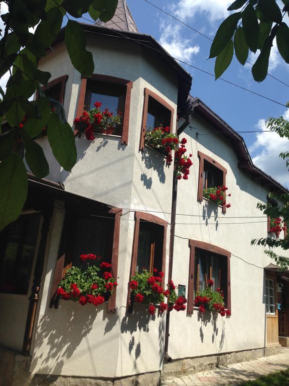 Pensiunea Casa Bianca - Bucovina Vama  Dış mekan fotoğraf